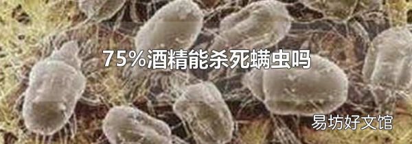 75%酒精能杀死螨虫吗