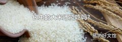 长虫的大米还能吃吗?