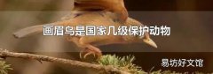 画眉鸟是国家几级保护动物