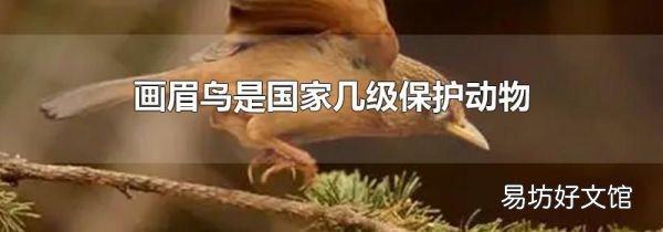 画眉鸟是国家几级保护动物