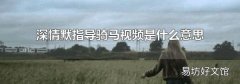 深情默指导骑马视频是什么意思