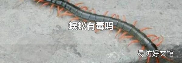 蜈蚣有毒吗