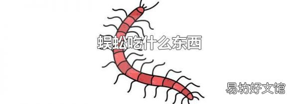 蜈蚣吃什么东西