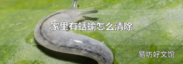 家里有蛞蝓怎么清除