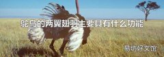 鸵鸟的两翼翅羽主要具有什么功能