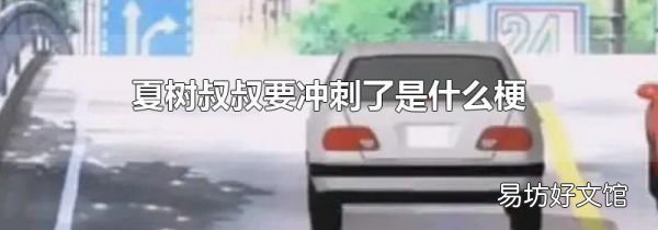 夏树叔叔要冲刺了是什么梗