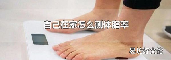 自己在家怎么测体脂率