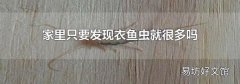 家里只要发现衣鱼虫就很多吗