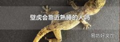 壁虎会靠近熟睡的人吗