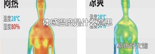 体感温度是什么意思