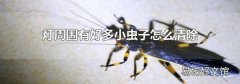 灯周围有好多小虫子怎么清除