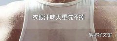 衣服汗味太重洗不掉