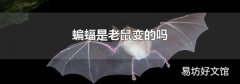 蝙蝠是老鼠变的吗