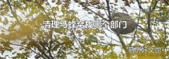 清理马蜂窝找哪个部门