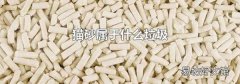 猫砂属于什么垃圾