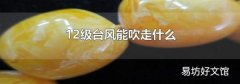 12级台风能吹走什么