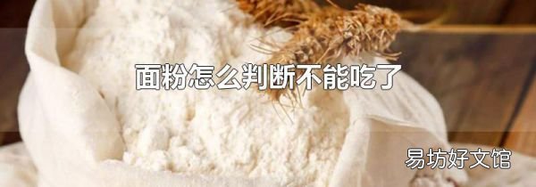 面粉怎么判断不能吃了