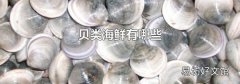 贝类海鲜有哪些