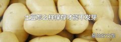 土豆怎么样保存才能不发芽