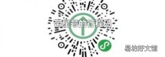 带星号的行程码