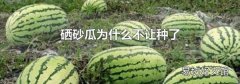 硒砂瓜为什么不让种了