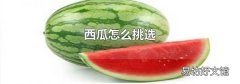 西瓜怎么挑选