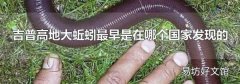 吉普高地大蚯蚓最早是在哪个国家发现的