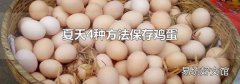 夏天4种方法保存鸡蛋