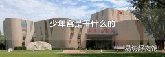 少年宫是干什么的
