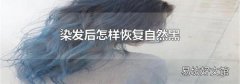 染发后怎样恢复自然黑