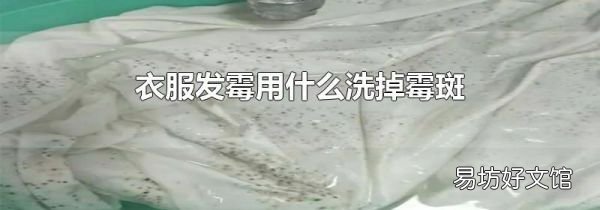 衣服发霉用什么洗掉霉斑