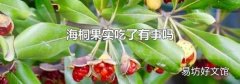 海桐果实吃了有事吗