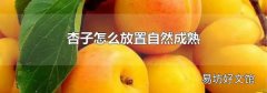 杏子怎么放置自然成熟