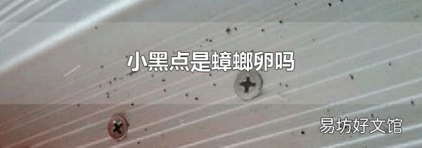 小黑点是蟑螂卵吗