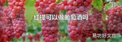 红提可以做葡萄酒吗