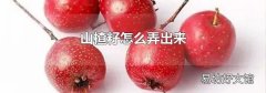 山楂籽怎么弄出来