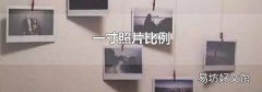一寸照片比例