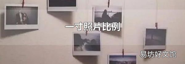 一寸照片比例