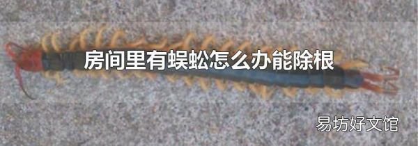 房间里有蜈蚣怎么办能除根