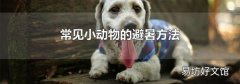 常见小动物的避暑方法