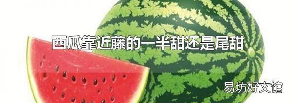 西瓜靠近藤的一半甜还是尾甜