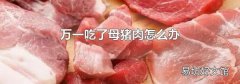 万一吃了母猪肉怎么办