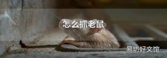 怎么抓老鼠