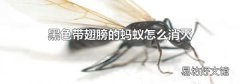 黑色带翅膀的蚂蚁怎么消灭