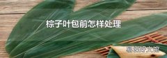 棕子叶包前怎样处理