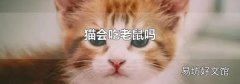 猫会吃老鼠吗