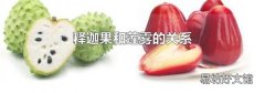 释迦果和莲雾的关系