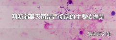 判断消毒灭菌是否彻底的主要依据是