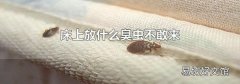 床上放什么臭虫不敢来