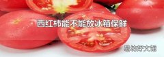 西红柿能不能放冰箱保鲜
